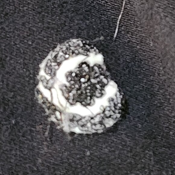 Izod Woman Black Lilac Piping 5 Button Cotton Span SS Henley Polo Top Size 1X - Picture 15 of 16